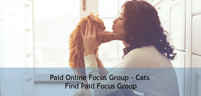 Paid Online Focus Group - Cats