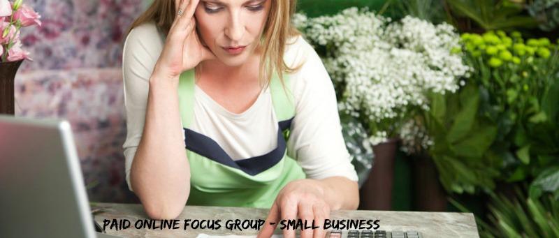 Paid Online Focus Group - Small Business