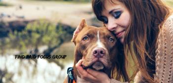 Paid Online Focus Group - Dog Owners